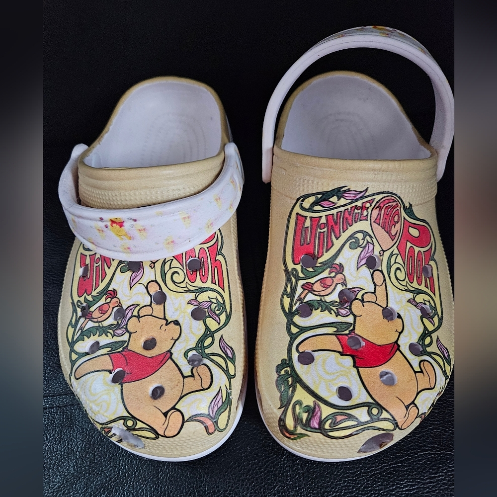 Winnie the Pooh Coacs